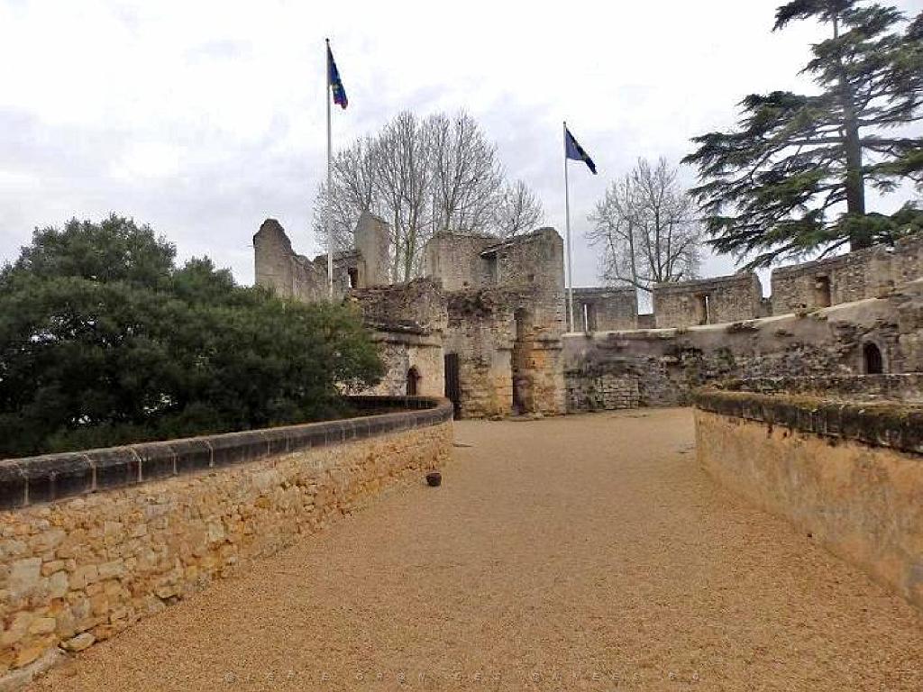 149 CHATEAU DE MONTREUIL BELLAY MAINE ET LOIRE 2016_000015.jpg
